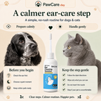 Ear-care guide for dogs and cats: check the ear, use cotton pads, wipe only what you see and never insert the nozzle