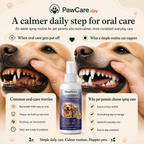 Oral-care infographic showing common pet-parent concerns and reasons a spray may fit an everyday routine