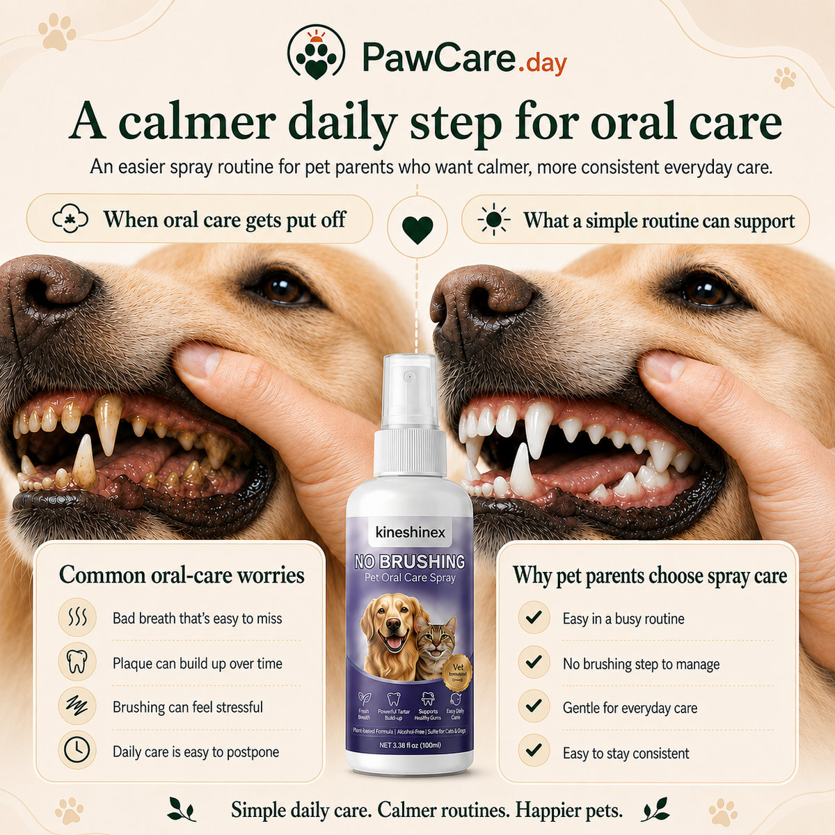 Oral-care infographic showing common pet-parent concerns and reasons a spray may fit an everyday routine