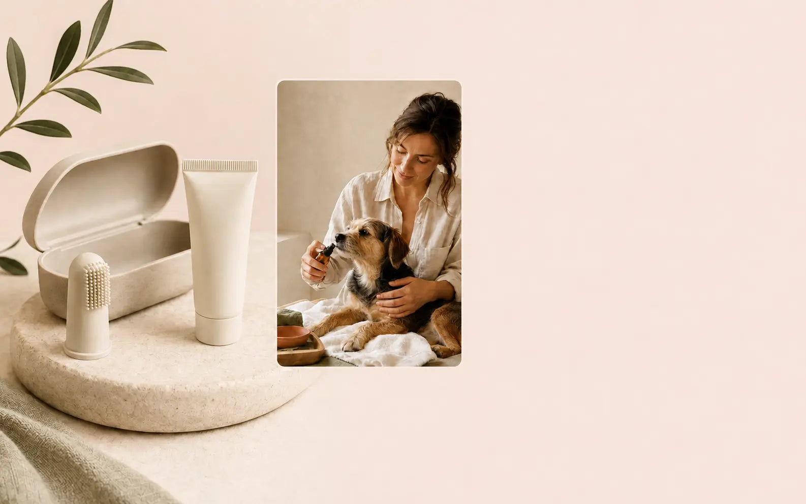 An oral-care starter set beside a pet parent gently introducing oral care to a dog.